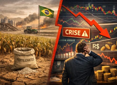Falta de fertilizantes no Brasil: quais os impactos para a economia e o mercado financeiro?