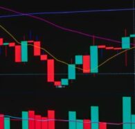 Conta Pro, ECN ou Cent na RoboForex: qual usar no copy trade